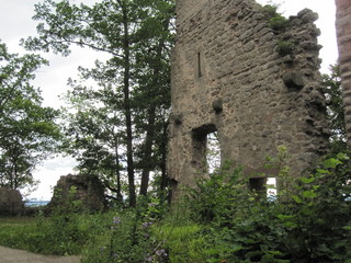 Fototapeta na wymiar Ruin of a medieval castle fortress in the black forest