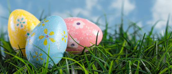 Decorated Easter Eggs Hiding in the Grass on a Beautiful Spring Day