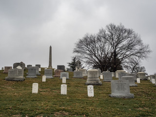 Arlington Cemetary