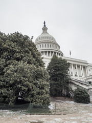 US Capitol