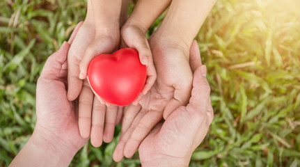 Red heart in family hands on green grass background, adult and child hands holding red heart,...