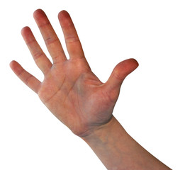 hand palm up isolated on white background, put the subject