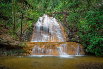 Golden Cascade Falls - Big Basin State Park, California