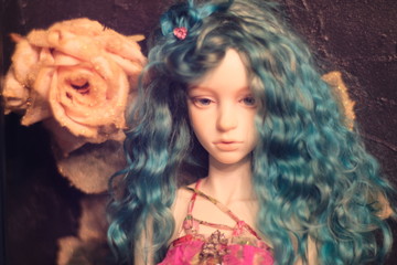 bjd doll