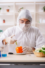 Scientist working in lab on GMO fruits and vegetables