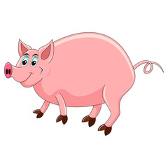 Pig cartoon vector illustration