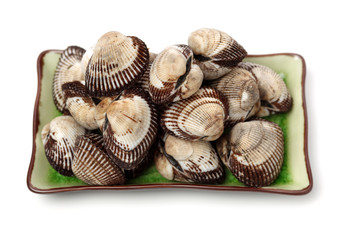 Scapharca subcrenata on white background 