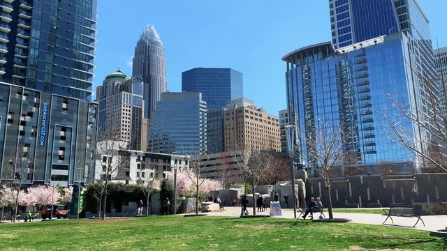 Charlotte, North Carolina  skyline as seen from Romare Bearden Park in spring