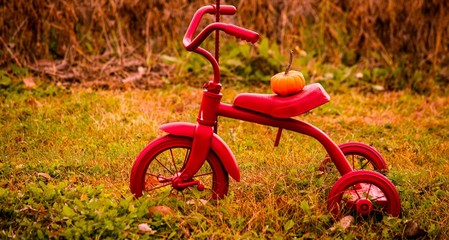 Vintage Red Tricycle in a Field with a small orange pumpkin on the seat