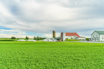 Amish country farm barn field agriculture in Lancaster, PA