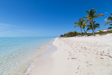 Gorgeous white sand beach and blue sky on Turks and Caicos Islands. 