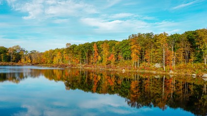 Fall Sean with water reflection