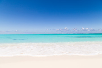 Fototapeta premium Gorgeous white sand beach and blue sky on Turks and Caicos Islands. 