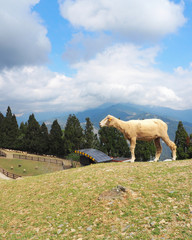 Taiwan sheep beautiful background