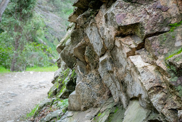 Focus on moss-covered rocks at the side of a mountain path with trees in background