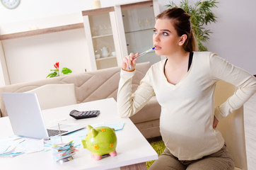 Young pregnant woman in budget planning concept 