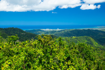 Fototapeta na wymiar Nature background, Wild forest and rock, blue sky. Landscape wallpaper. Puerto Rico. 