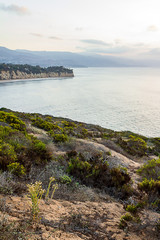 Obraz premium blooming wildflowers on cliff overlooking pacific ocean with peninsulla