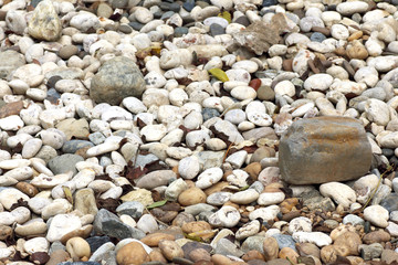 abstract texture background with dry round stones