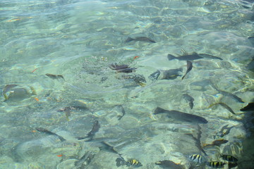 Bocas del Toro, Panamá 