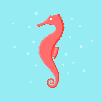 Coral seahorse animal flat character with spots on cayn background. Cartoon hippocampus for design, logo, background, card, print, sticker