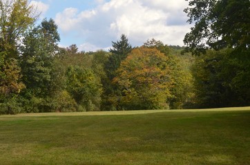 Fall Foliage