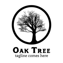 Obraz premium Oak tree logo inspiration black white vector branding element