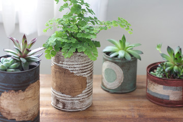 白いカーテン越しに飾ってるリメイク缶に入れた観葉植物