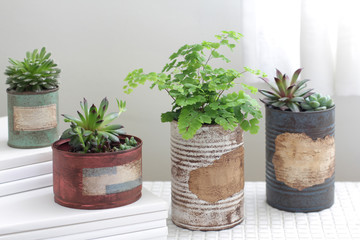 白いカーテン越しに飾ってるリメイク缶に入れた観葉植物