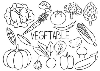 Hand drawn vegetable set