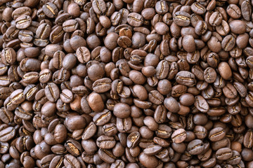 coffee beans roasted coffee beans  background texture