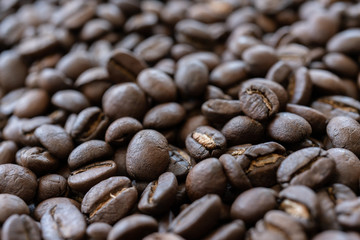coffee beans roasted coffee beans  background texture