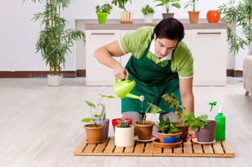 Young male gardener with plants indoors 