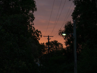 Pink at night Shepards Delight