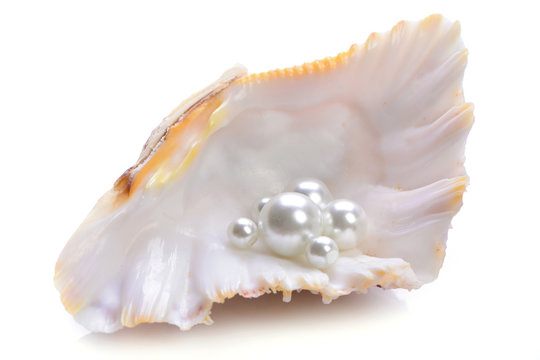 Pearls on a white background