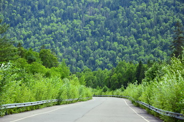 The old road at the foot of the mountain. Steep hill with mixed forest. The old asphalt road leads deep into the taiga.