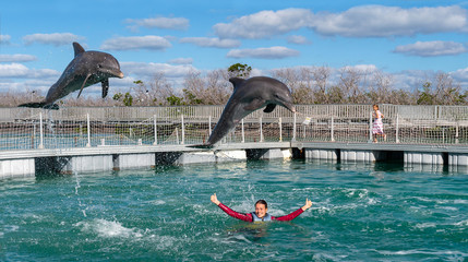 Jumping dolphins. Woman  swimming with dolphins in blue water. © Uryadnikov Sergey