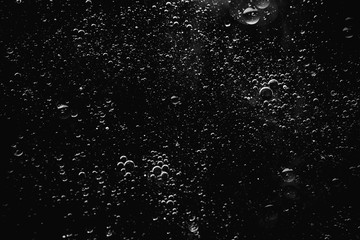 Air bubbles in the water background.Abstract oxygen bubbles in the sea.Water bubbles isolate on black background.Black and white tone style.
