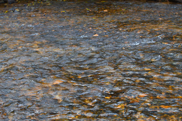 The reflection of the water surface with natural brown stones on the bottom is a lot of background.soft focus.
