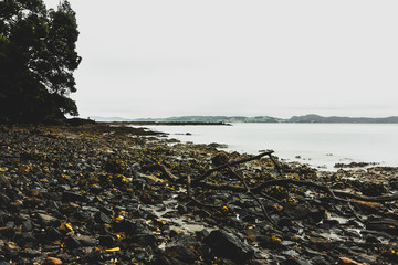 Cloudy day rocks on beach