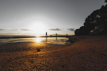 Sunrise reflection over island