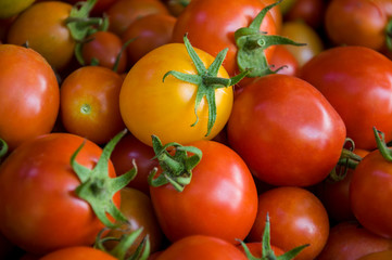Many ripe red and yellow tomatoes on the wood table. Vegetables. Background