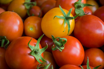 Many ripe red and yellow tomatoes on the wood table. Vegetables. Background