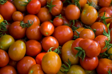 Many ripe red and yellow tomatoes on the wood table. Vegetables. Background