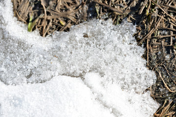 Abstract background of snow and spring ground with dry grass close up