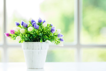 The flowers with window background in the morning.