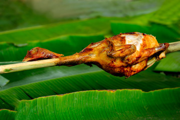 Roasted chicken with bamboo skewer On beautiful green banana leaves