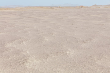 Paracas reserve, Peru.