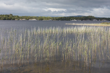 Landscape in Northern Ireland