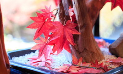 Red maple plastic leaf - 259854859